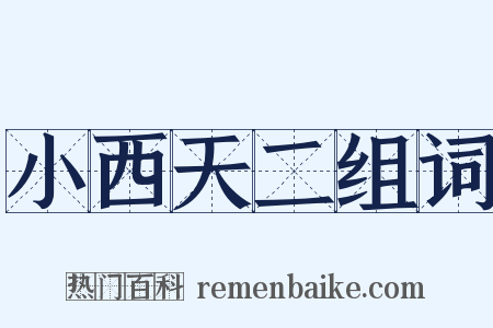 小西天二组词是什么意思的图片